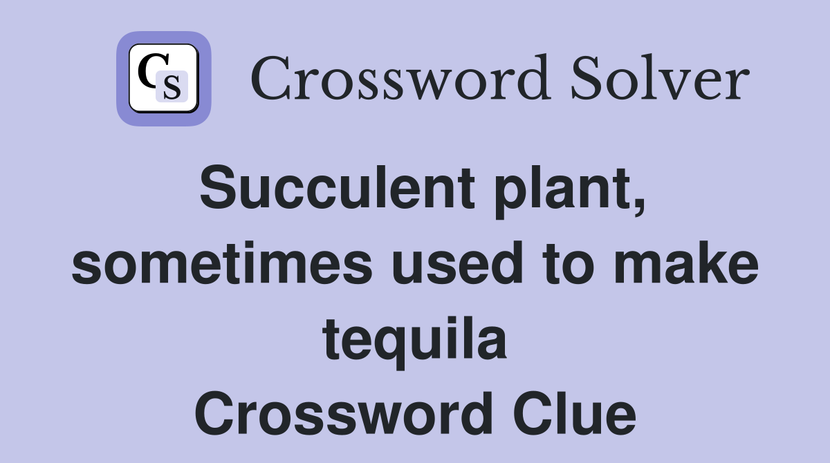 Succulent plant, sometimes used to make tequila Crossword Clue