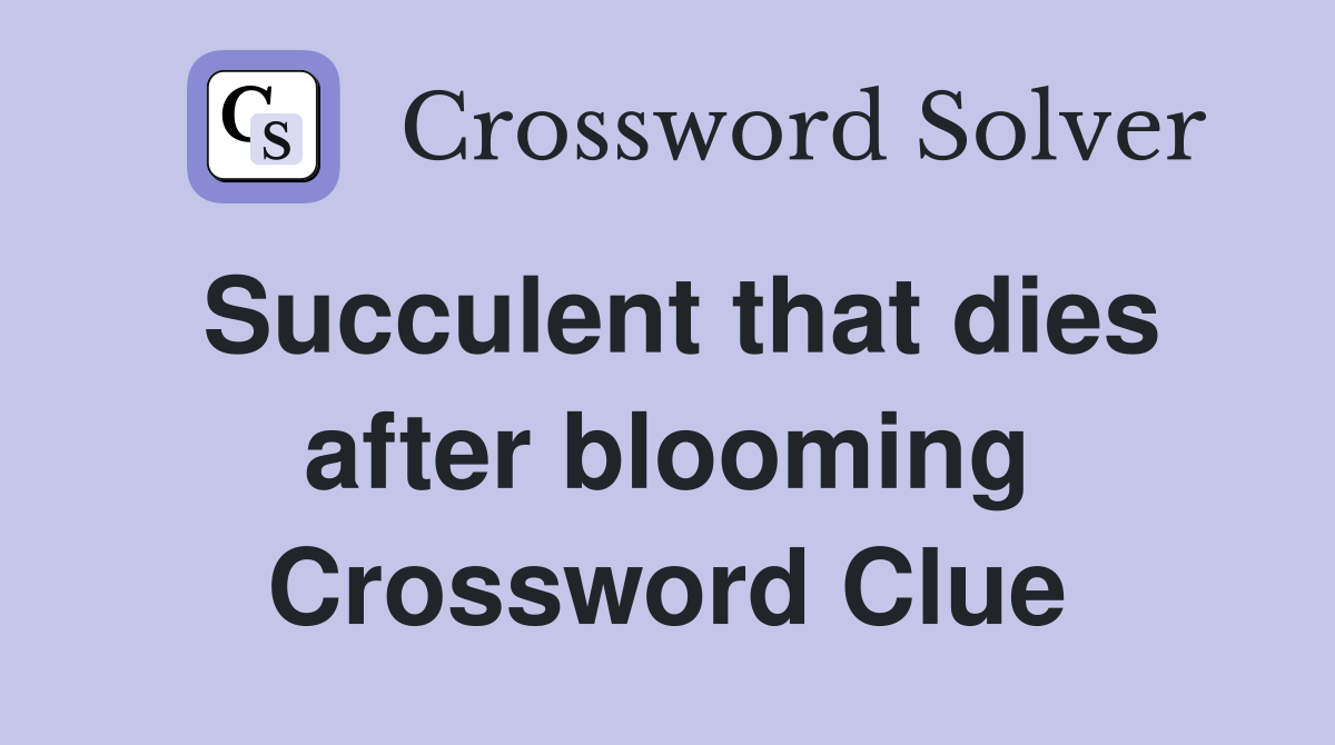 Succulent that dies after blooming Crossword Clue