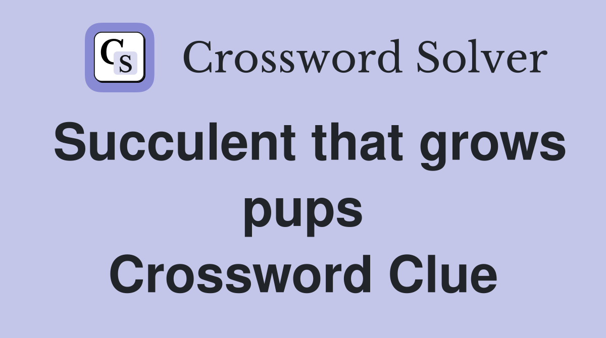 Succulent that grows pups Crossword Clue