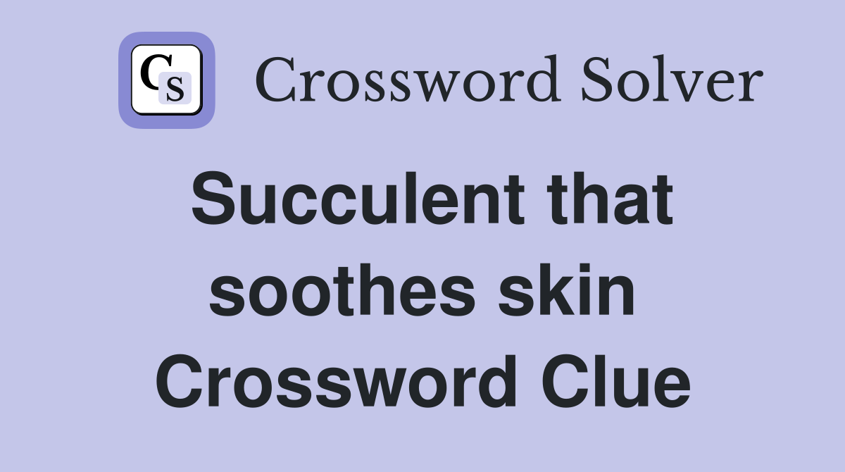Succulent that soothes skin Crossword Clue