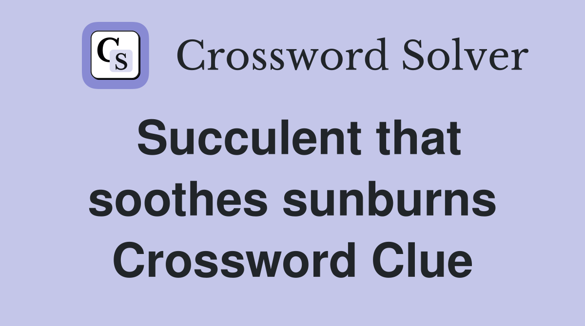 Succulent that soothes sunburns Crossword Clue