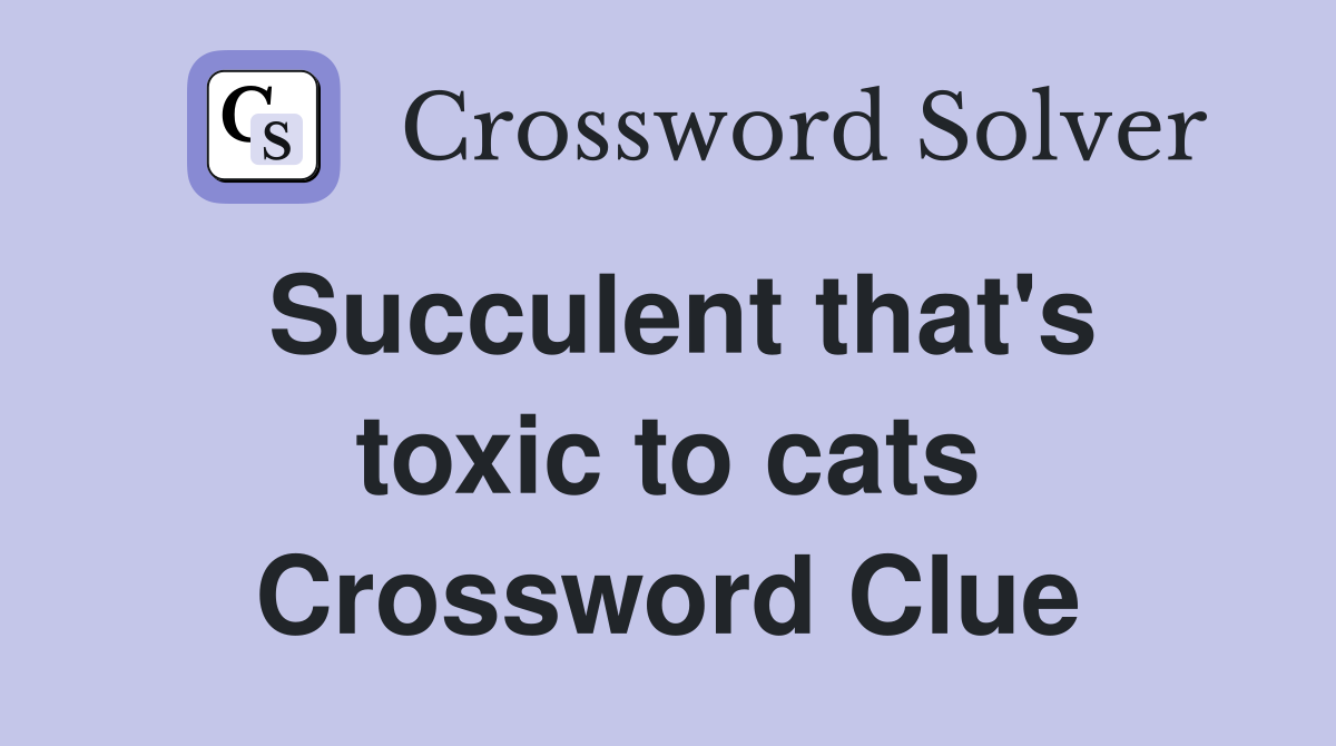 Succulent that's toxic to cats Crossword Clue