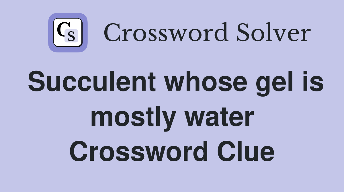 Succulent whose gel is mostly water Crossword Clue