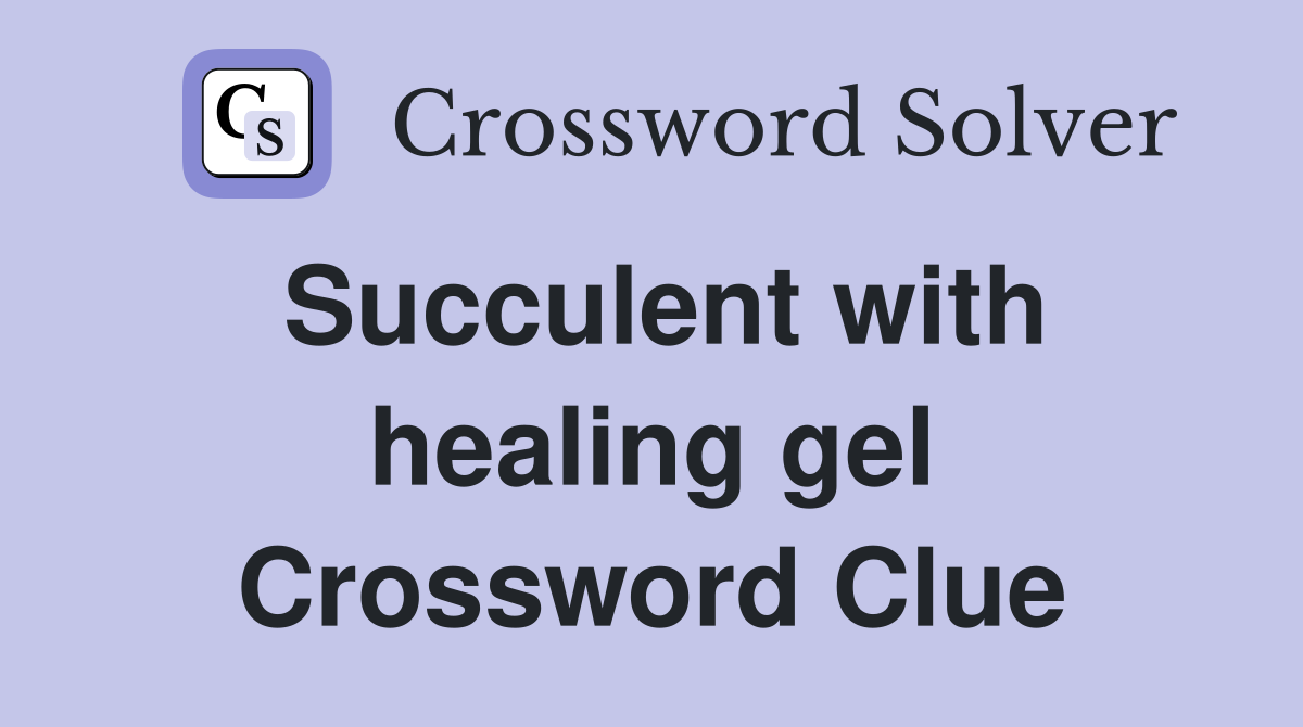 Succulent with healing gel Crossword Clue