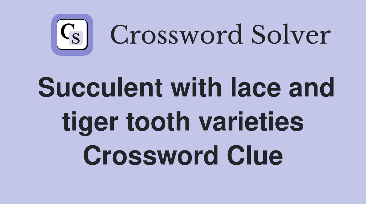 Succulent with lace and tiger tooth varieties Crossword Clue