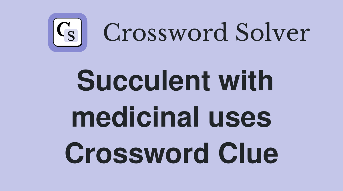 Succulent with medicinal uses Crossword Clue
