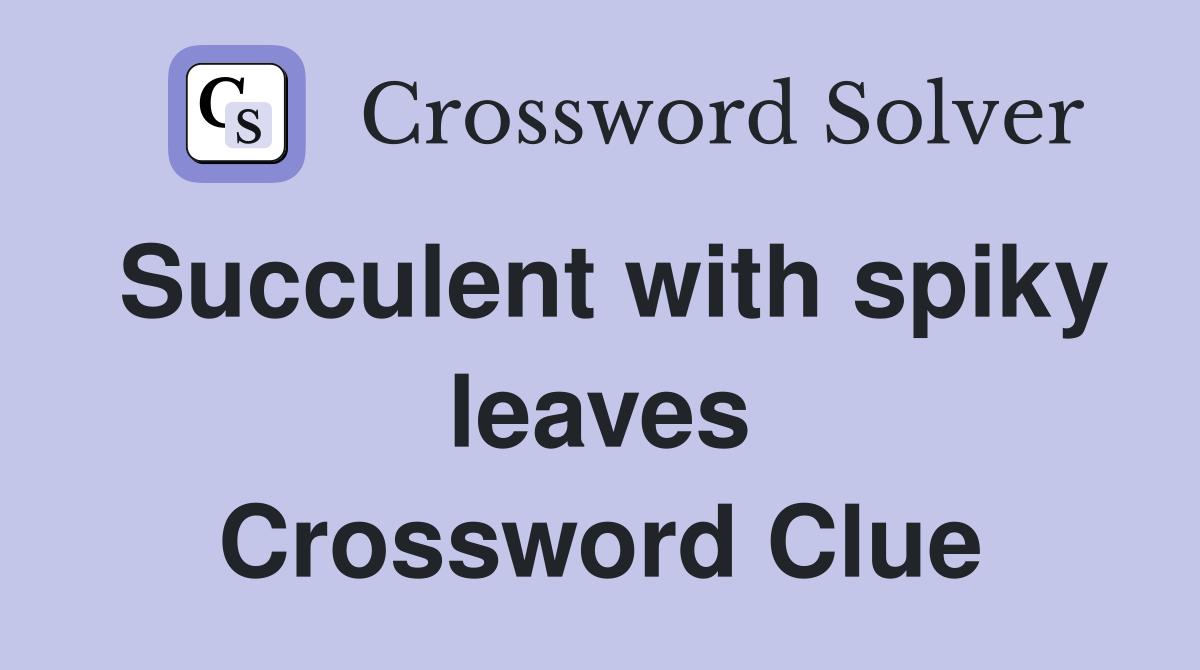 Succulent with spiky leaves Crossword Clue
