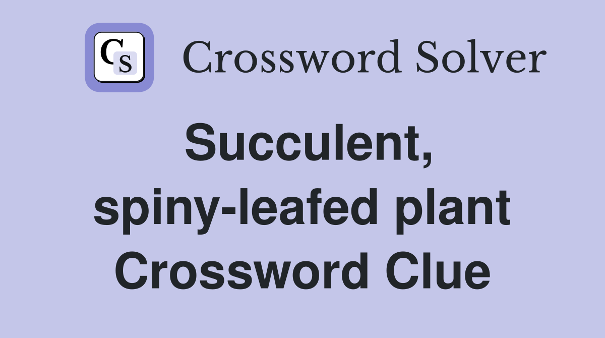 Succulent, spiny-leafed plant Crossword Clue