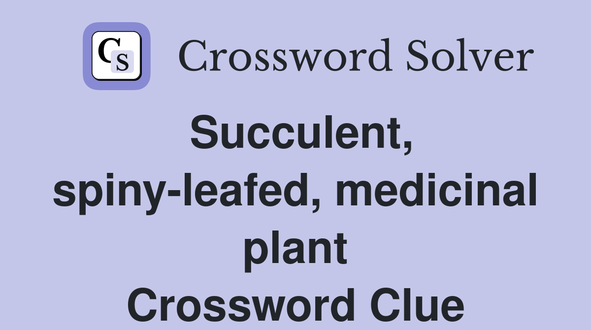 Succulent, spiny-leafed, medicinal plant Crossword Clue