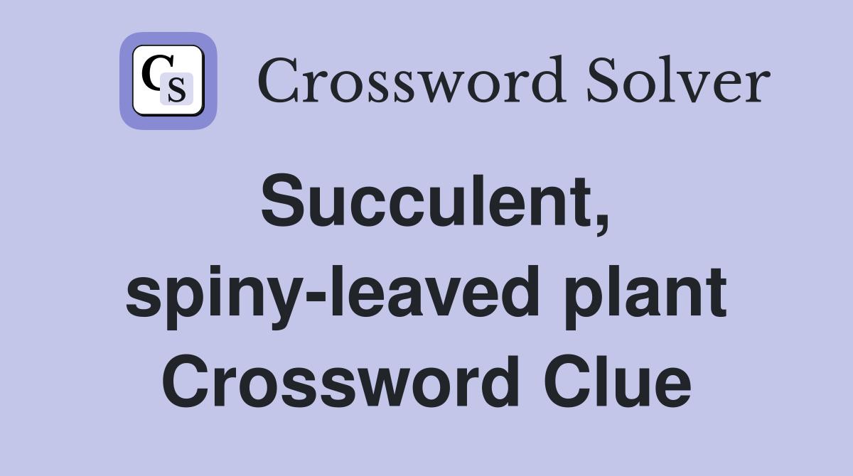 Succulent, spiny-leaved plant Crossword Clue