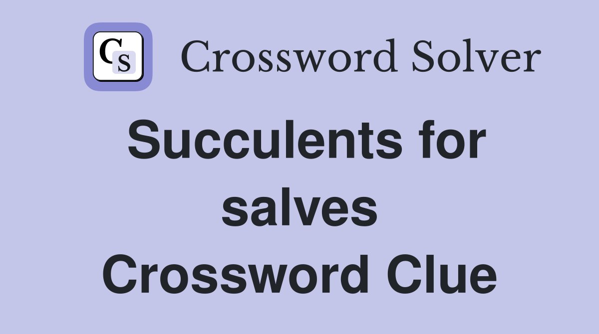 Succulents for salves Crossword Clue