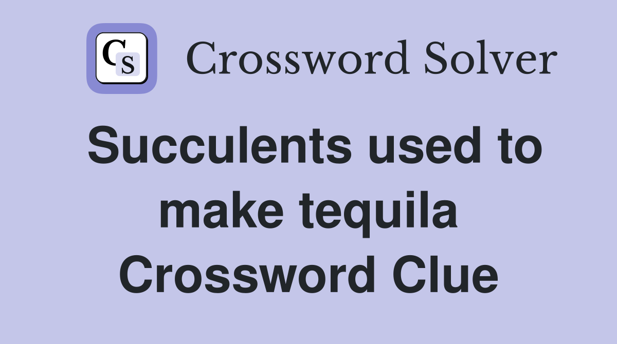 Succulents used to make tequila Crossword Clue