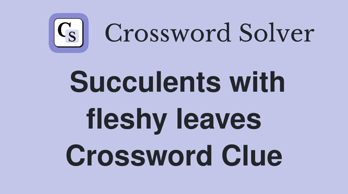 Succulents with fleshy leaves Crossword Clue