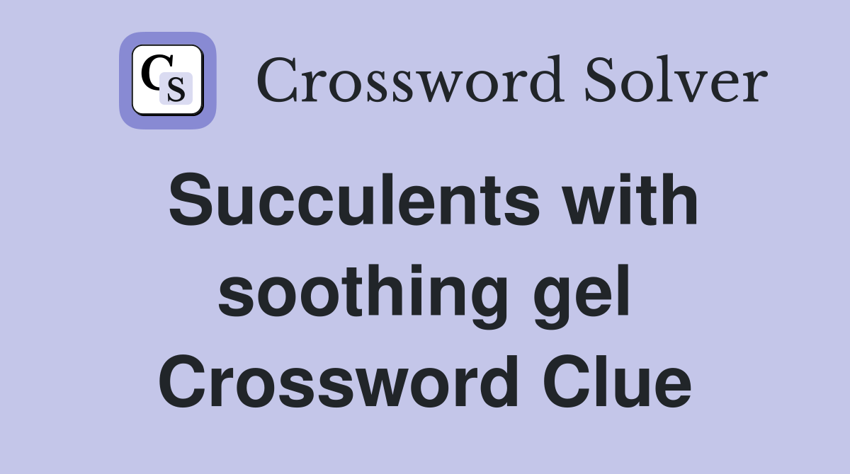 Succulents with soothing gel Crossword Clue