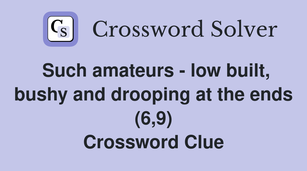 Such amateurs - low built, bushy and drooping at the ends (6,9) Crossword Clue