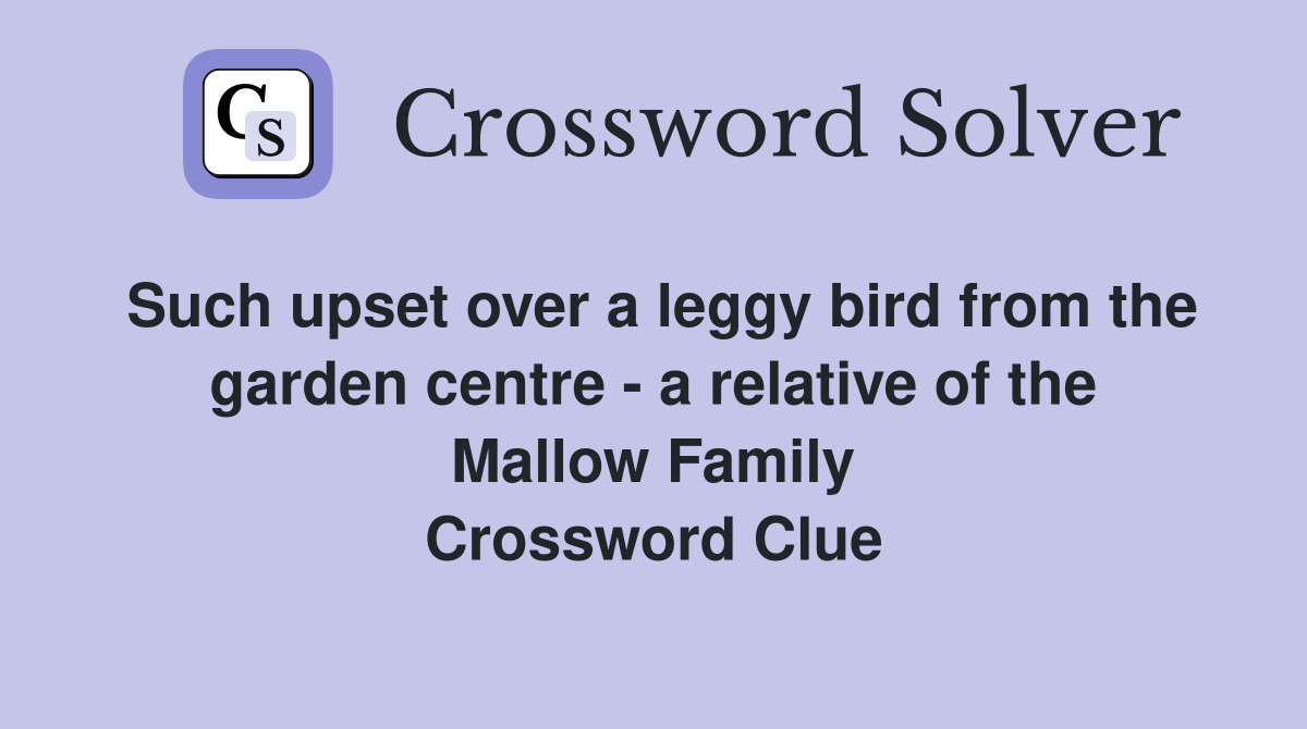 Such upset over a leggy bird from the garden centre - a relative of the Mallow Family Crossword Clue