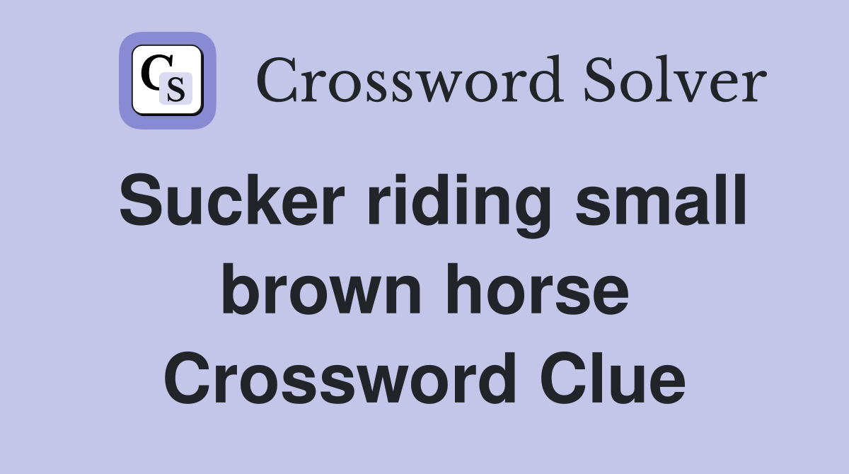 Sucker riding small brown horse Crossword Clue