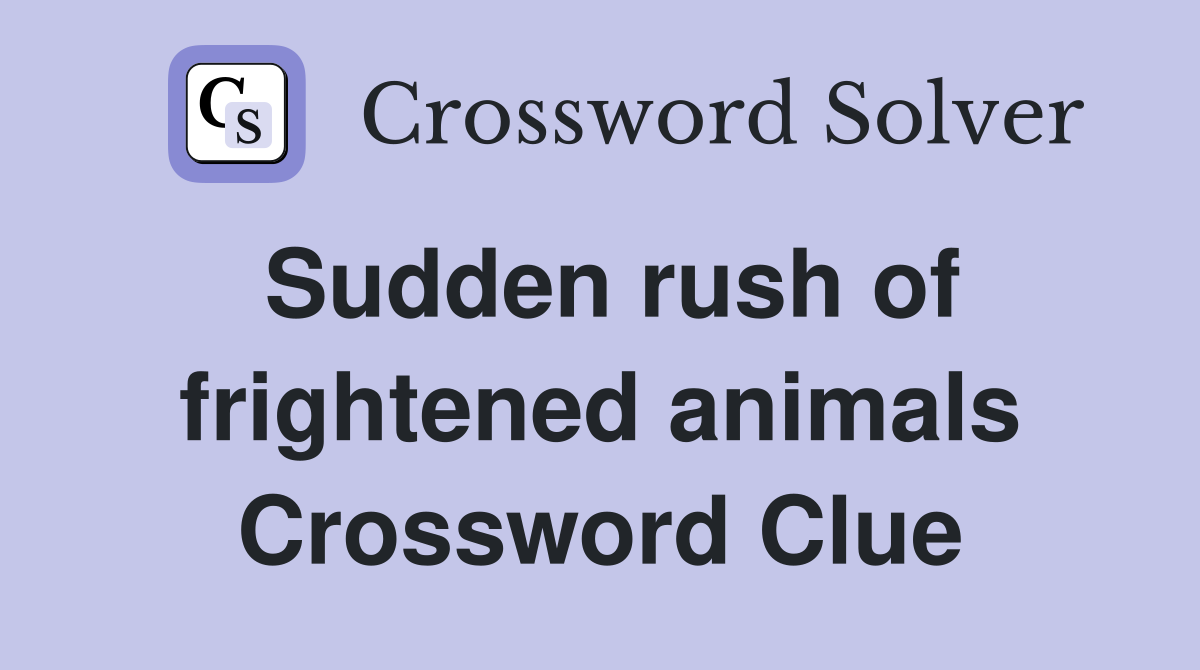 Sudden rush of frightened animals Crossword Clue