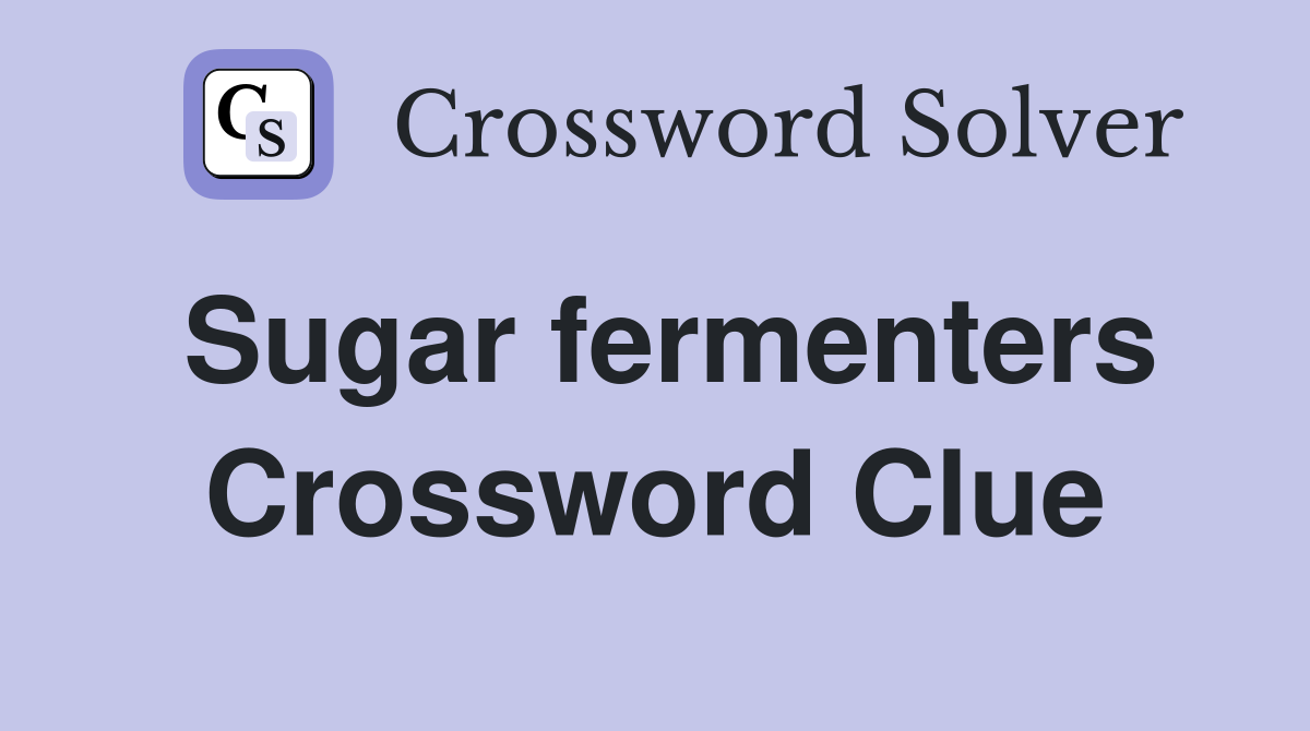 Sugar fermenters Crossword Clue