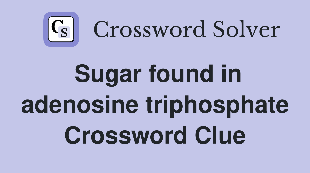 Sugar found in adenosine triphosphate Crossword Clue