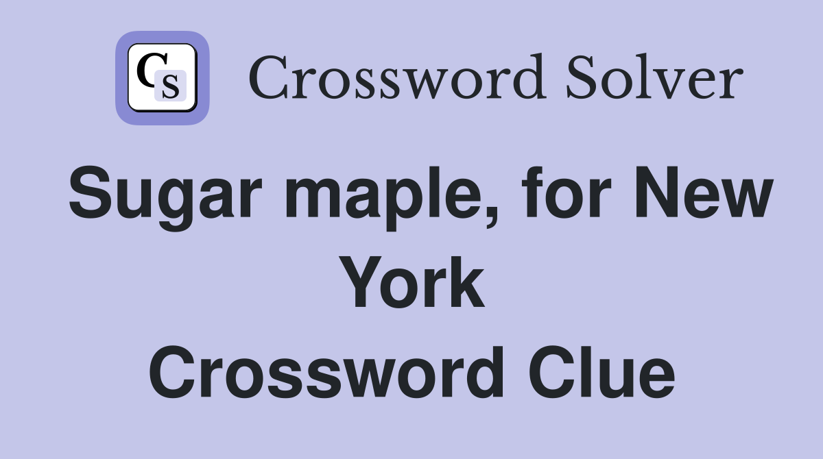 Sugar maple, for New York Crossword Clue