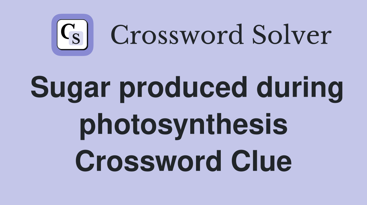 Sugar produced during photosynthesis Crossword Clue