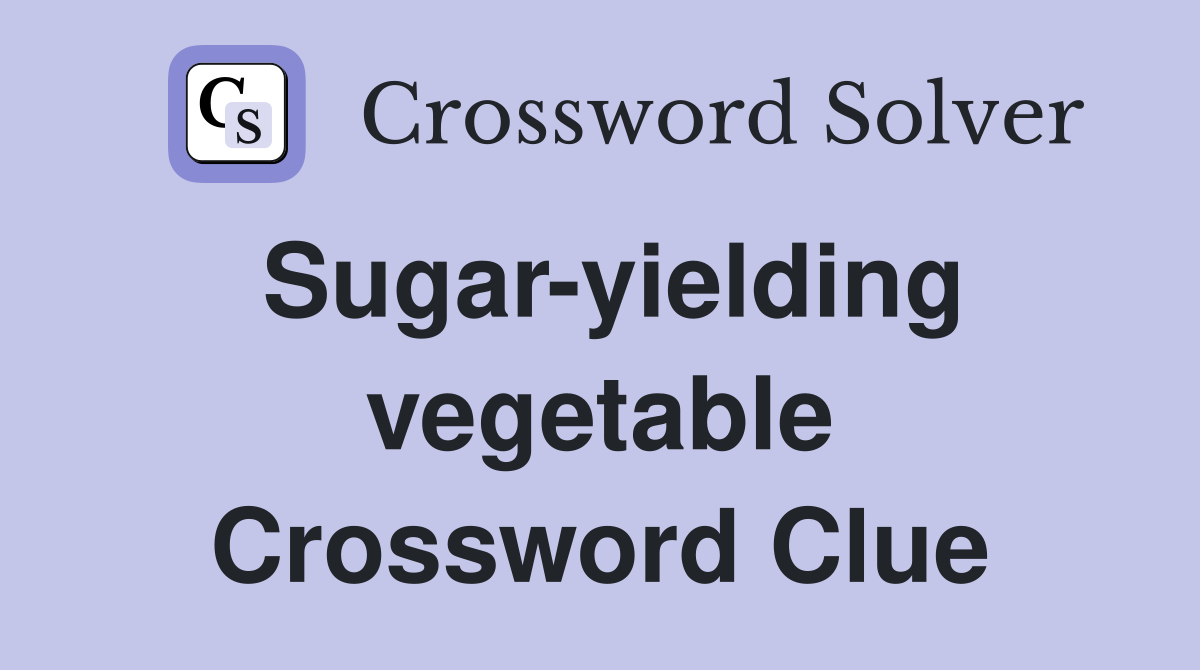 Sugar-yielding vegetable Crossword Clue