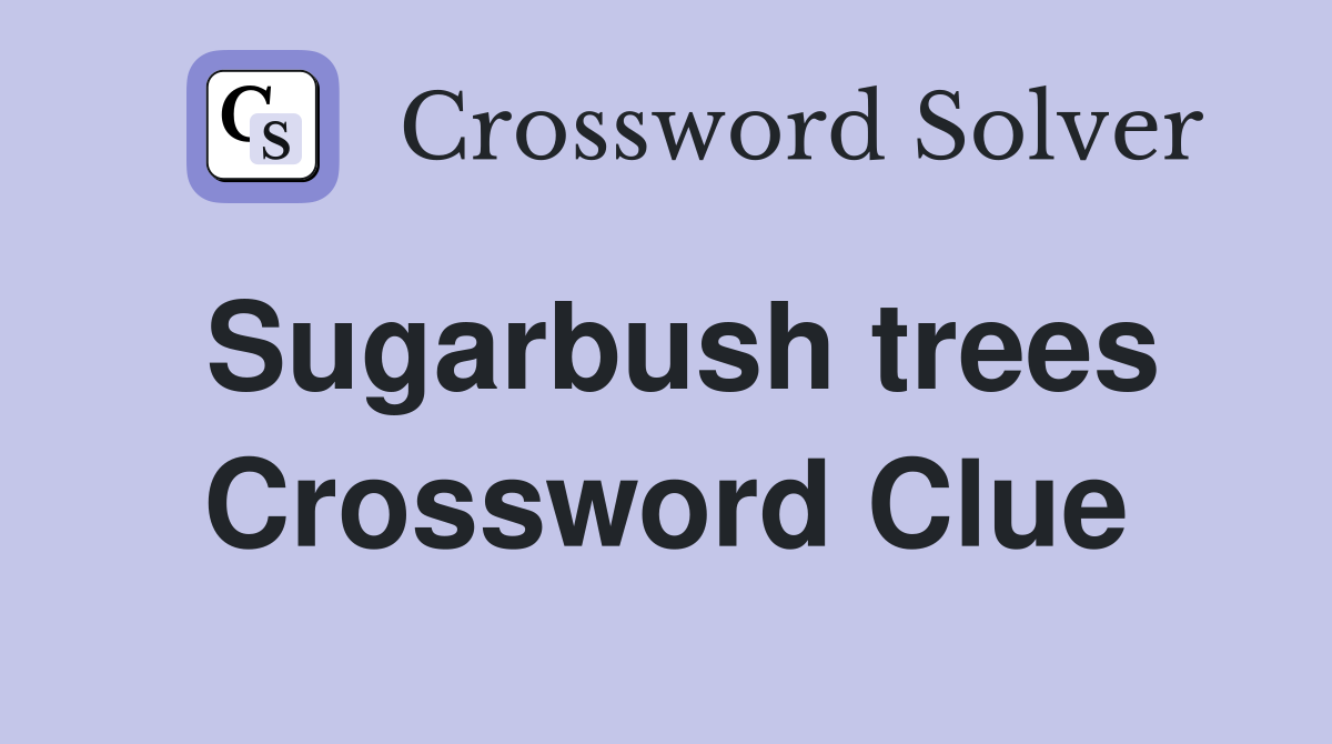 Sugarbush trees Crossword Clue