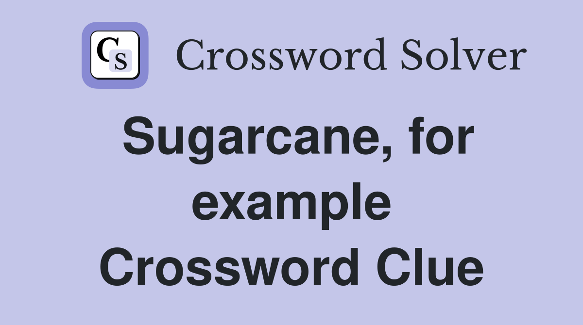 Sugarcane, for example Crossword Clue