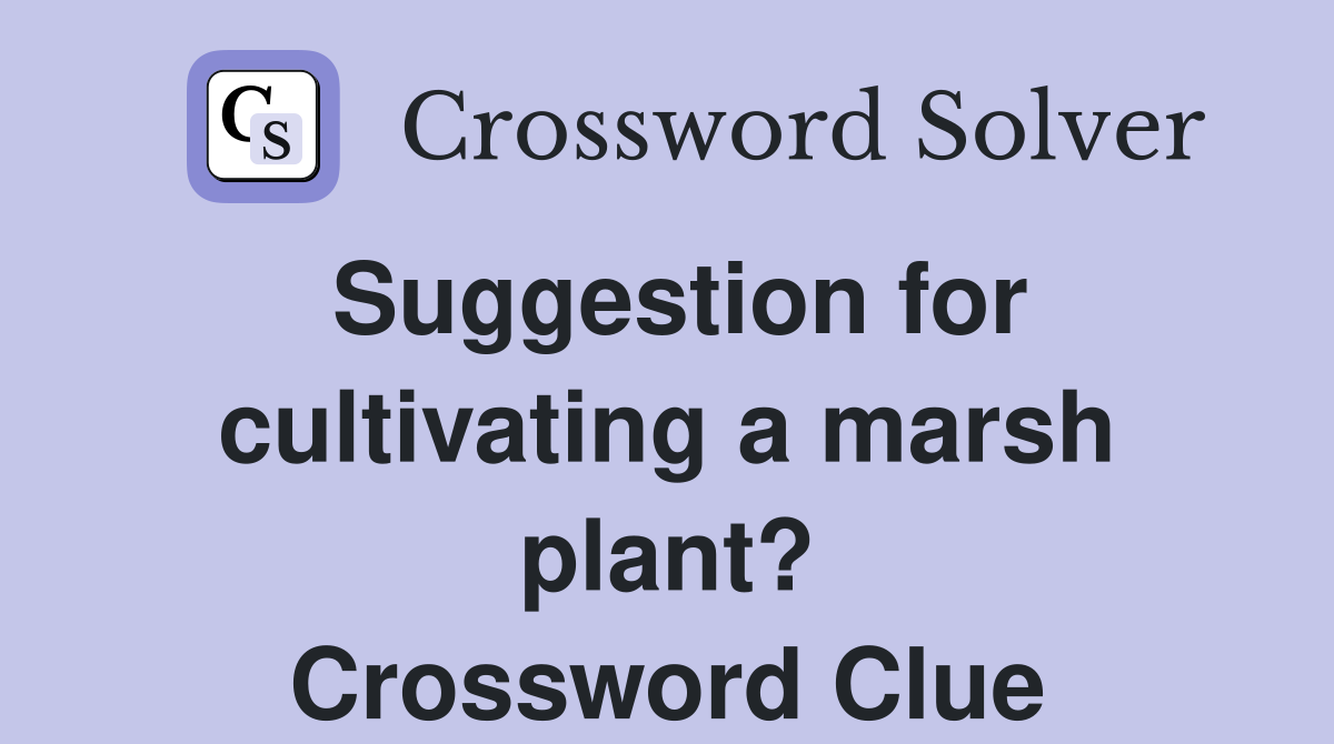 Suggestion for cultivating a marsh plant? Crossword Clue