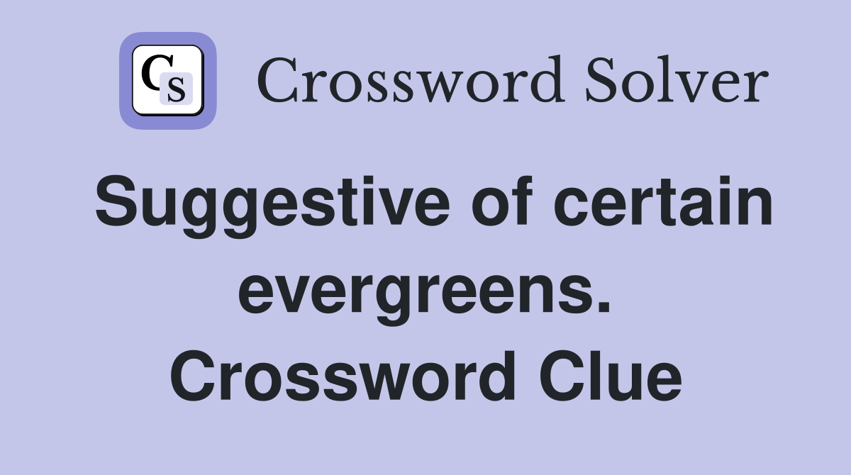 Suggestive of certain evergreens. Crossword Clue