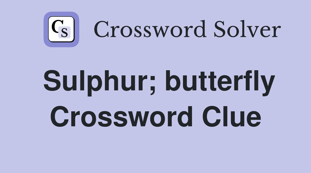 Sulphur; butterfly Crossword Clue