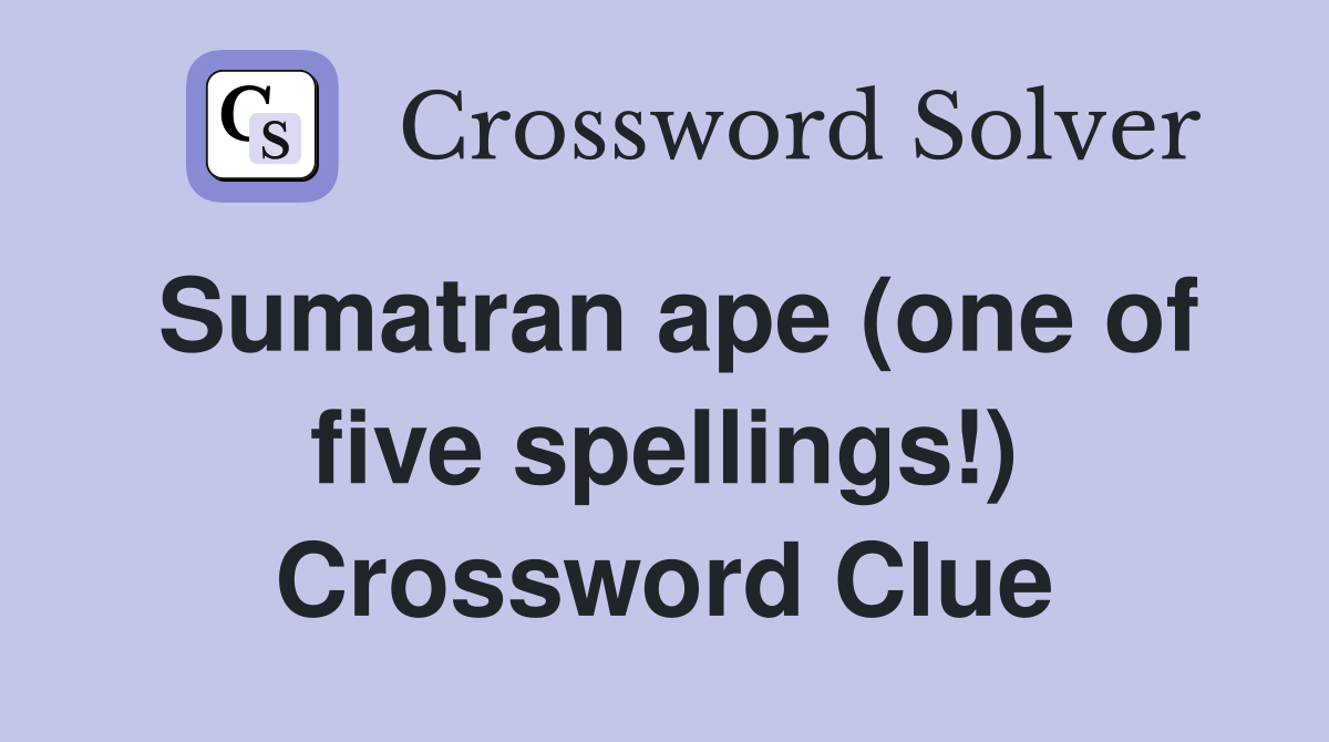 Sumatran ape (one of five spellings!) Crossword Clue