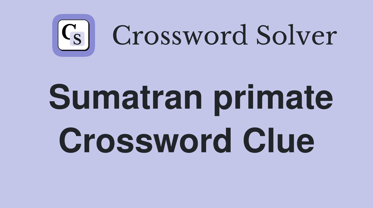 Sumatran primate Crossword Clue