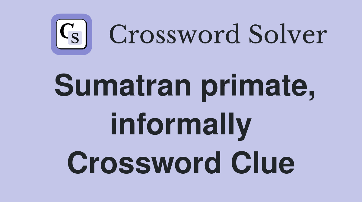 Sumatran primate, informally Crossword Clue