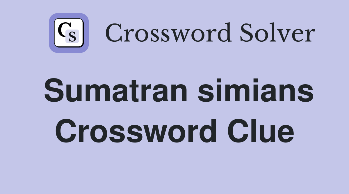 Sumatran simians Crossword Clue