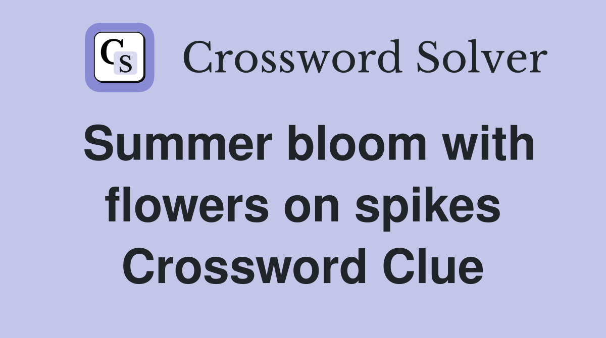 Summer bloom with flowers on spikes Crossword Clue