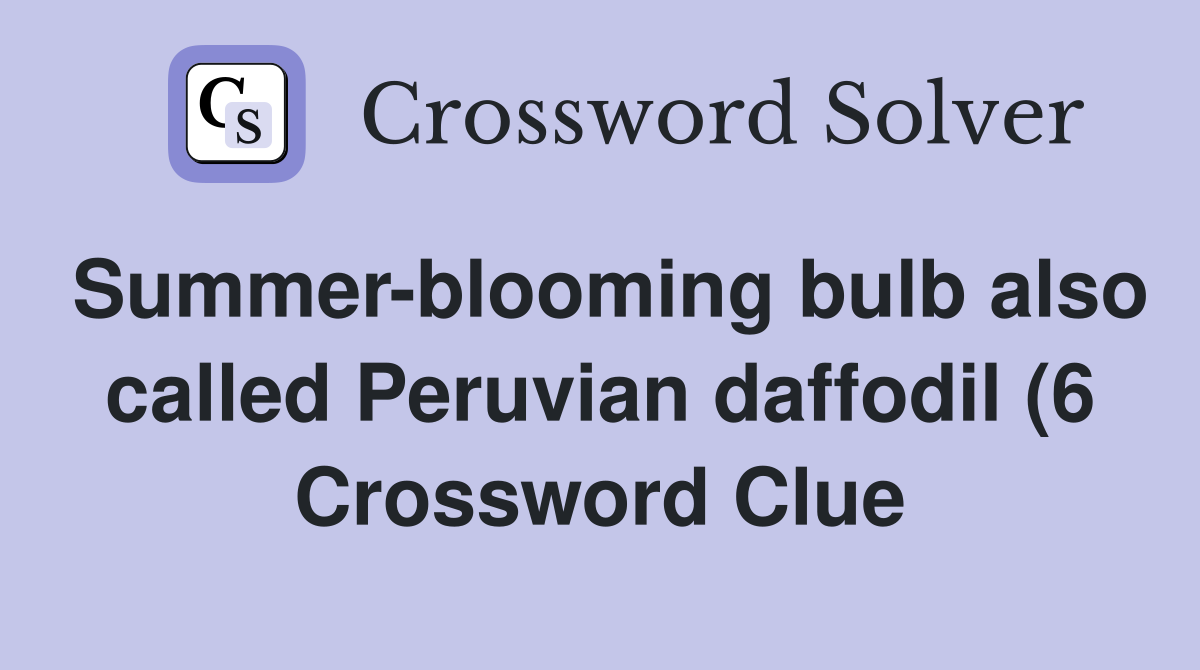 Summer blooming bulb also called Peruvian daffodil (6) Crossword Clue Summer blooming bulb also called Peruvian daffodil (6) Crossword Clue