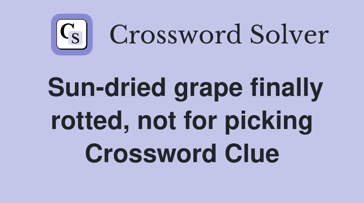 Sun-dried grape finally rotted, not for picking Crossword Clue