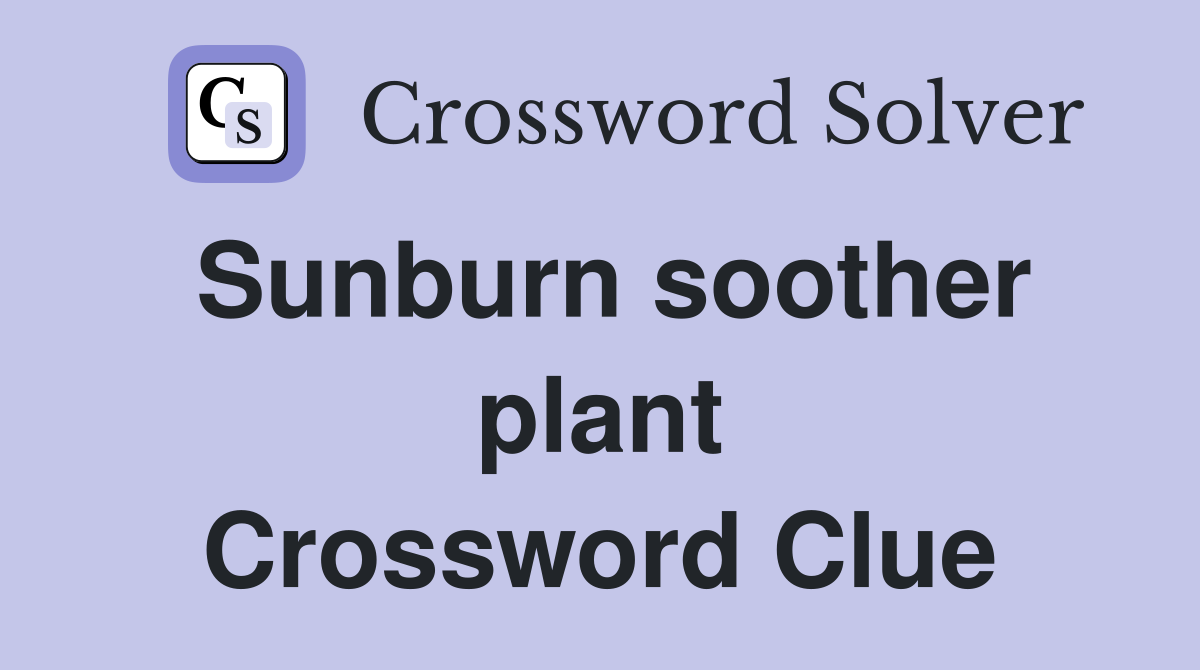 Sunburn soother plant Crossword Clue