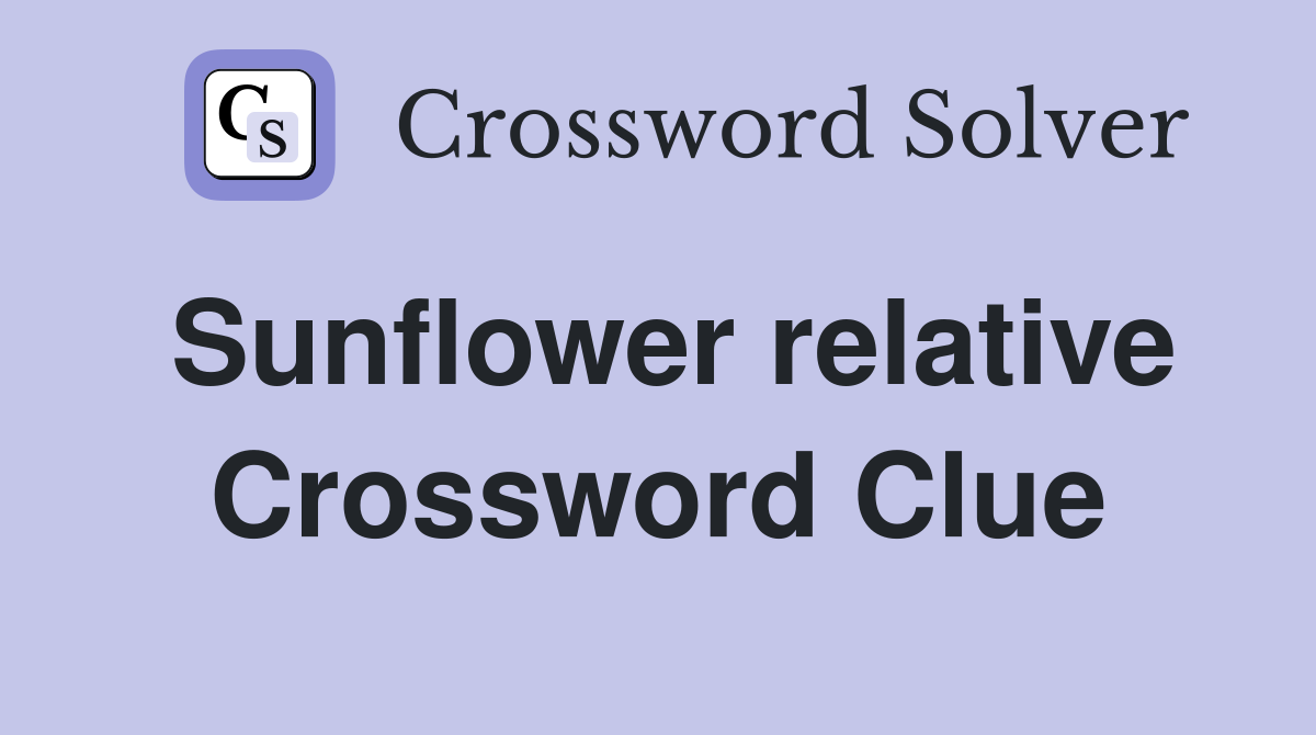 Sunflower relative Crossword Clue