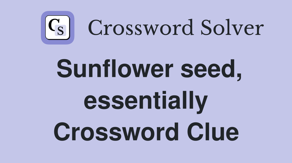 Sunflower seed, essentially Crossword Clue