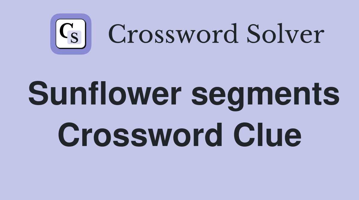 Sunflower segments Crossword Clue