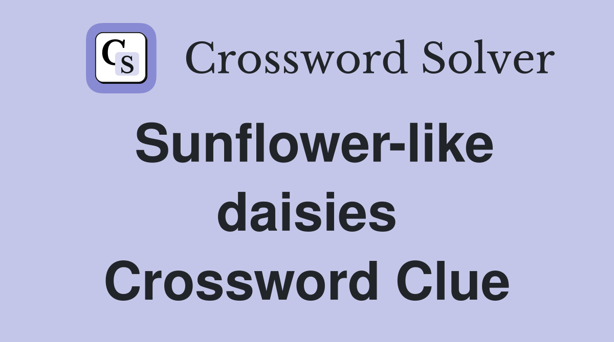 Sunflower-like daisies Crossword Clue