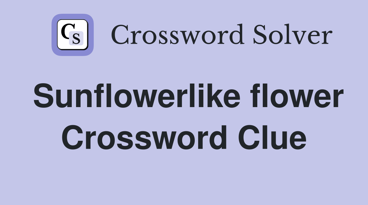 Sunflowerlike flower Crossword Clue