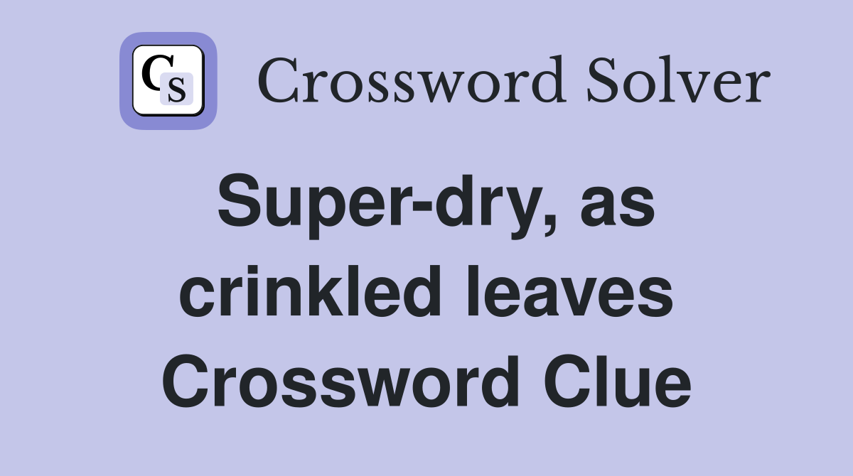 Super-dry, as crinkled leaves Crossword Clue