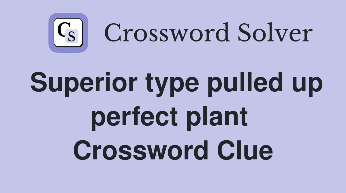 Superior type pulled up perfect plant  Crossword Clue