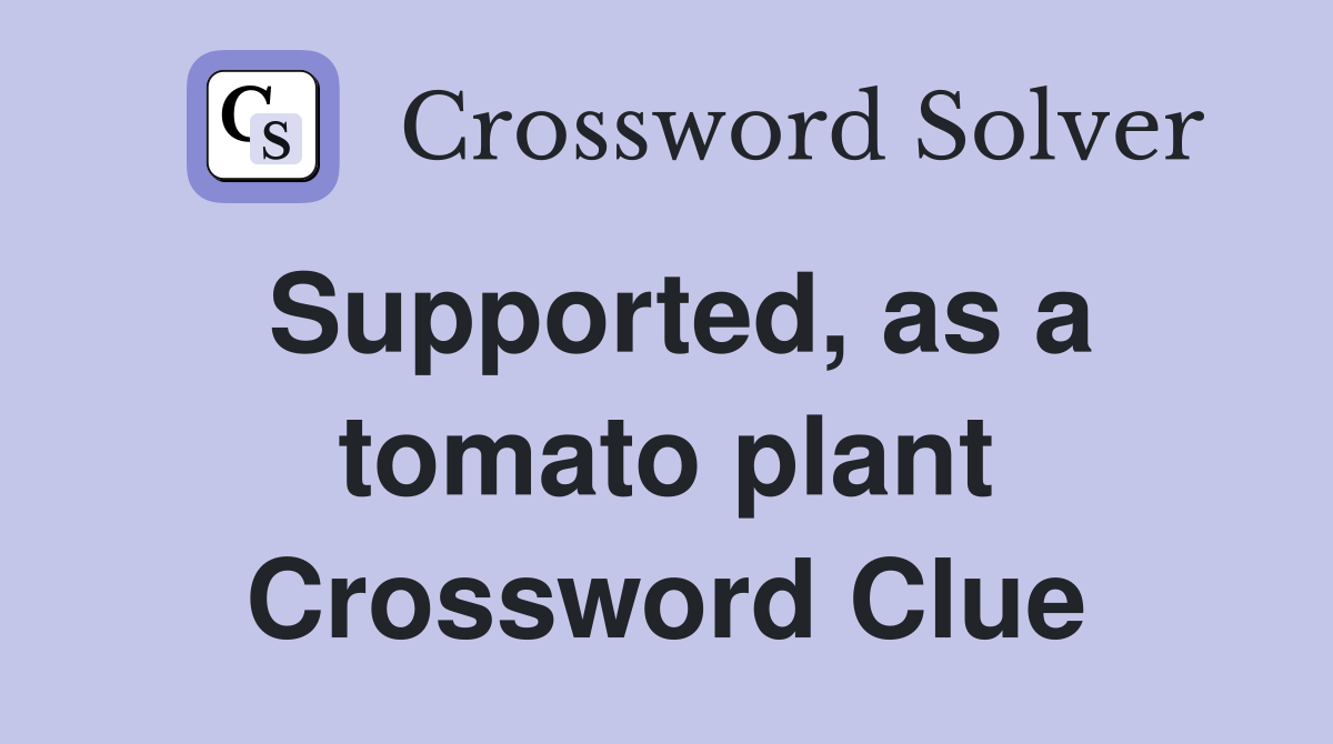 Supported, as a tomato plant Crossword Clue