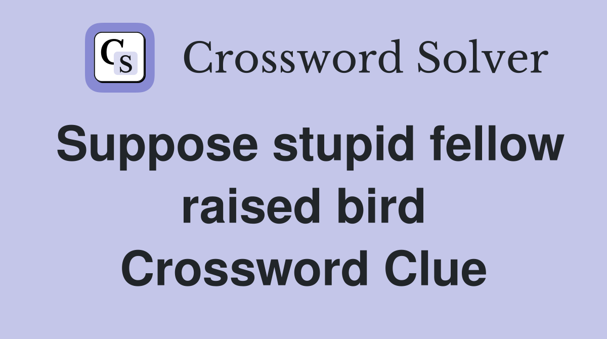 Suppose stupid fellow raised bird Crossword Clue