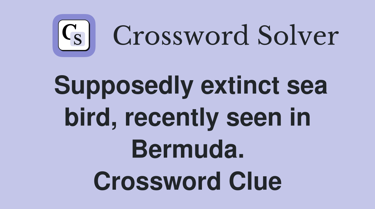 Supposedly extinct sea bird, recently seen in Bermuda. Crossword Clue